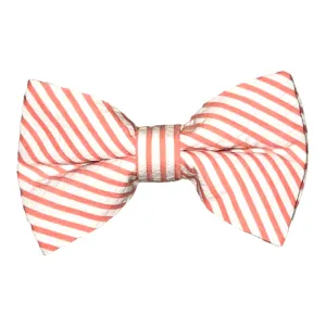 Boy's Bowentie – Carolina Coral Seersucker