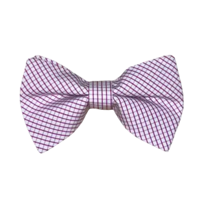 Boys Bowentie- Pinpoint Purple