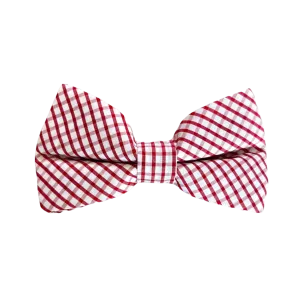 Mens  Bowentie- River Street Red